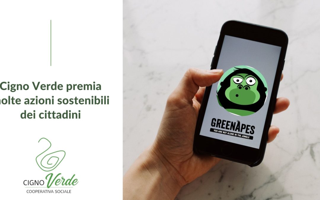 GreenApes: tanti premi per chi usufruisce dei nostri servizi